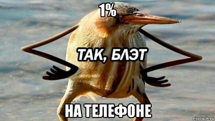 1% на телефоне, Мем  Так блэт