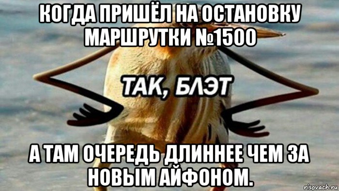 когда пришёл на остановку маршрутки №1500 а там очередь длиннее чем за новым айфоном.