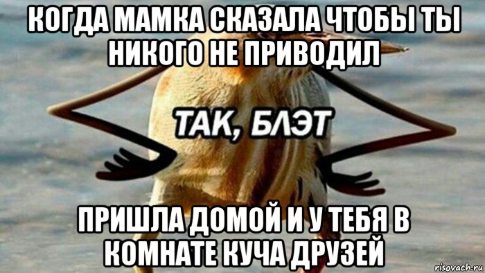 когда мамка сказала чтобы ты никого не приводил пришла домой и у тебя в комнате куча друзей, Мем  Так блэт