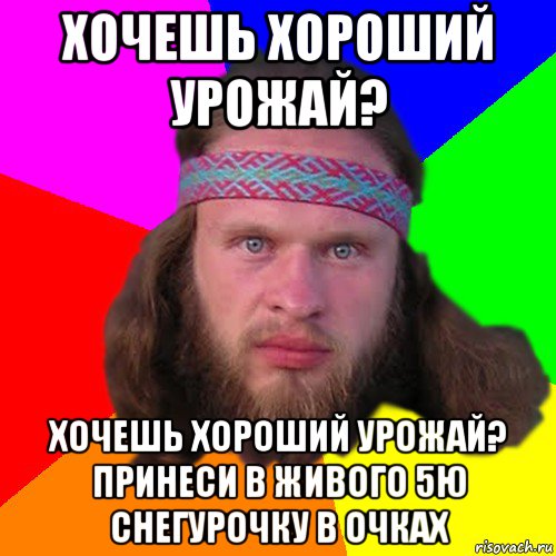 хочешь хороший урожай? хочешь хороший урожай? принеси в живого 5ю снегурочку в очках