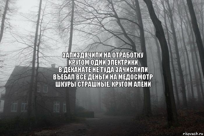 Запиздячили на отработку
Кругом одни электрики
В деканате не туда зачислили
Въебал все деньги на медосмотр
Шкуры страшные, кругом алени, Комикс  Тлен