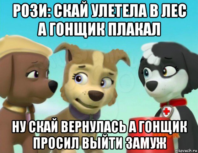 рози: скай улетела в лес а гонщик плакал ну скай вернулась а гонщик просил выйти замуж