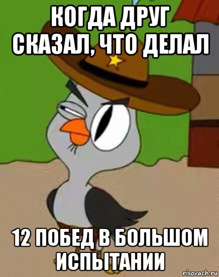 когда друг сказал, что делал 12 побед в большом испытании, Мем    Упоротая сова