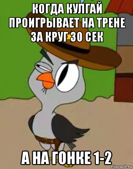 когда кулгай проигрывает на трене за круг 30 сек а на гонке 1-2, Мем    Упоротая сова