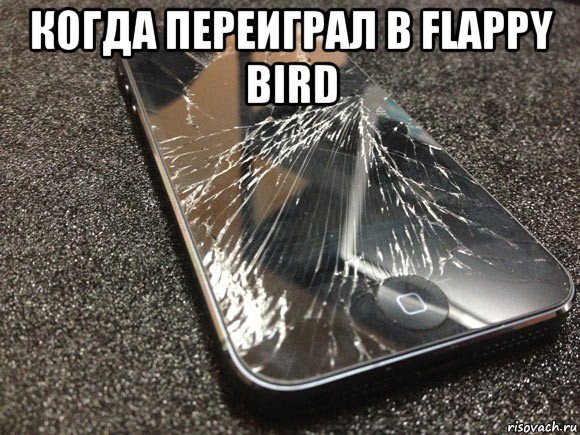 когда переиграл в flappy bird 