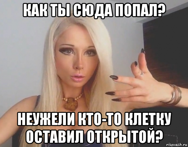 как ты сюда попал? неужели кто-то клетку оставил открытой?