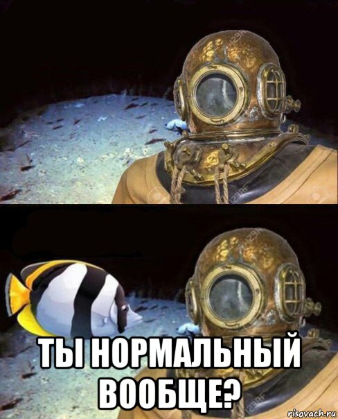  ты нормальный вообще?