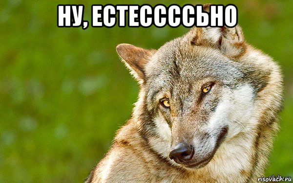 ну, естессссьно 