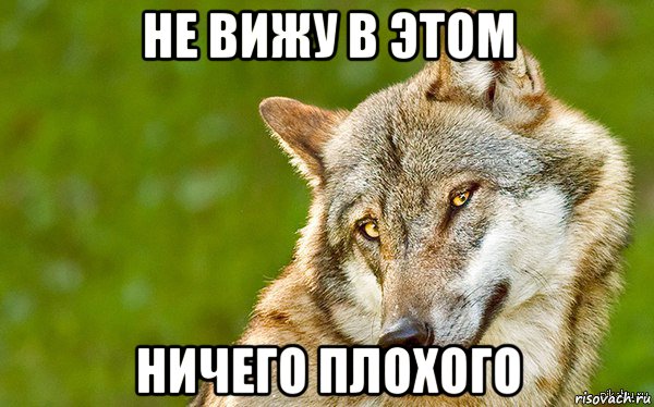 не вижу в этом ничего плохого, Мем   Volf