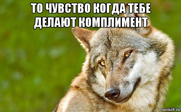 то чувство когда тебе делают комплимент , Мем   Volf