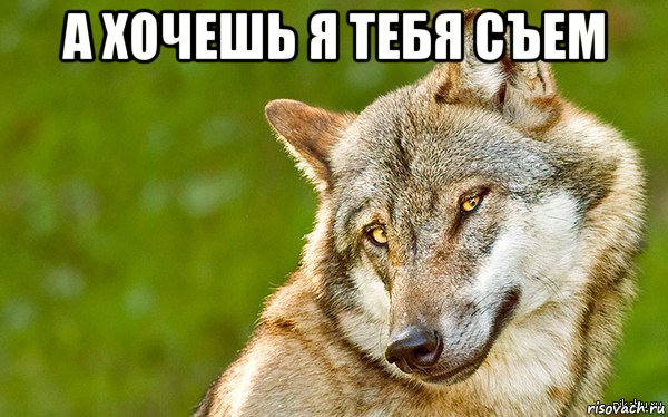 а хочешь я тебя съем , Мем   Volf