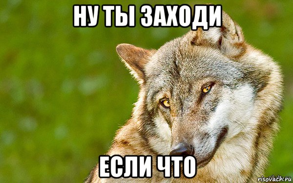 ну ты заходи если что