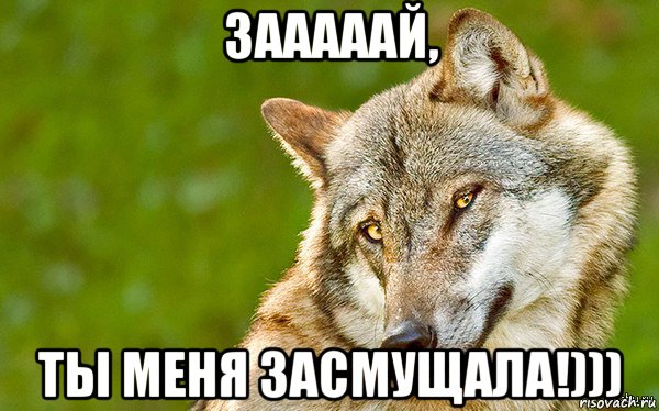 зааааай, ты меня засмущала!))), Мем   Volf