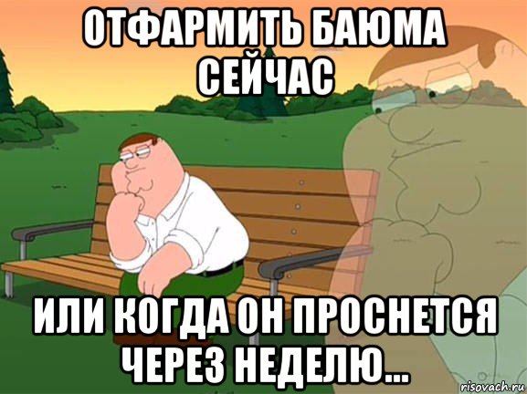 отфармить баюма сейчас или когда он проснется через неделю..., Мем Задумчивый Гриффин