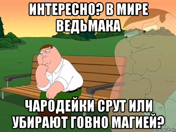 интересно? в мире ведьмака чародейки срут или убирают говно магией?, Мем Задумчивый Гриффин