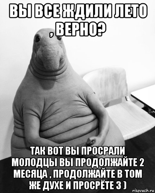 вы все ждили лето , верно? так вот вы просрали молодцы вы продолжайте 2 месяца , продолжайте в том же духе и просрёте 3 ), Мем  Ждун