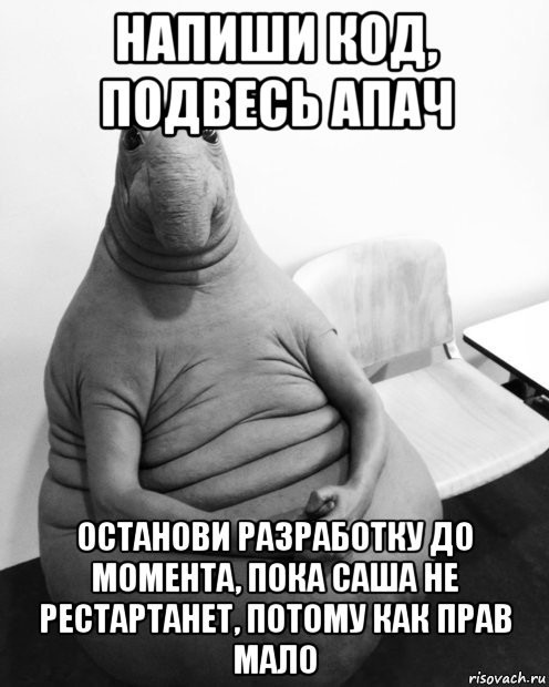 напиши код, подвесь апач останови разработку до момента, пока саша не рестартанет, потому как прав мало, Мем  Ждун