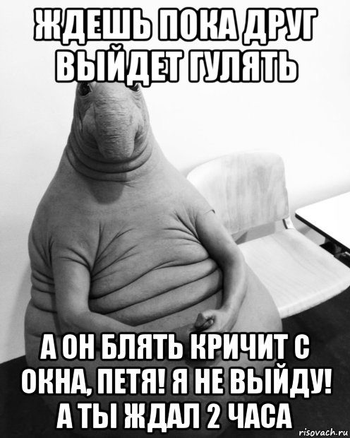 ждешь пока друг выйдет гулять а он блять кричит с окна, петя! я не выйду! а ты ждал 2 часа, Мем  Ждун