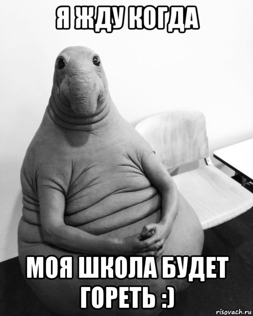 я жду когда моя школа будет гореть :), Мем  Ждун