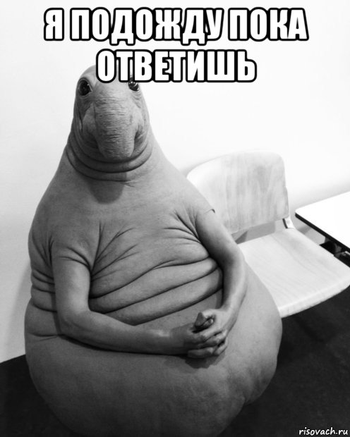 я подожду пока ответишь , Мем  Ждун