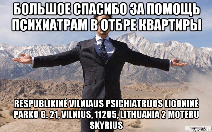 большое спасибо за помощь психиатрам в отбре квартиры respublikinė vilniaus psichiatrijos ligoninė parko g. 21, vilnius, 11205, lithuania 2 moteru skyrius, Мем железный человек