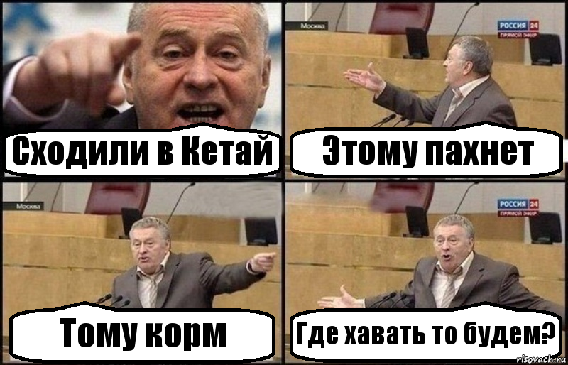 Сходили в Кетай Этому пахнет Тому корм Где хавать то будем?, Комикс Жириновский