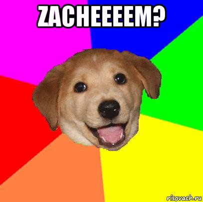 zacheeeem? , Мем Advice Dog