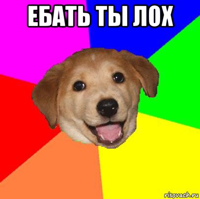 ебать ты лох , Мем Advice Dog