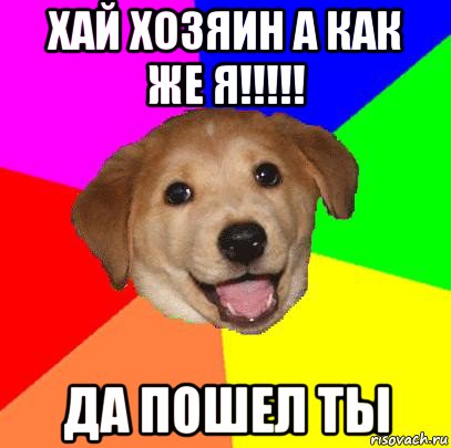 хай хозяин а как же я!!!!! да пошел ты, Мем Advice Dog