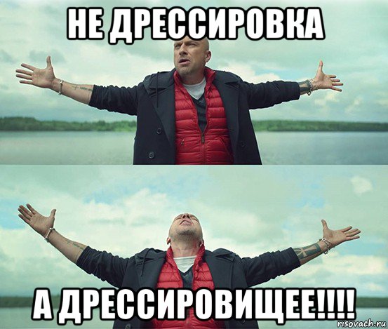 не дрессировка а дрессировищее!!!!, Мем Безлимитище