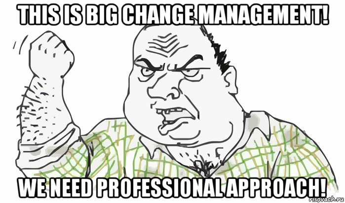 this is big change management! we need professional approach!, Мем Будь мужиком