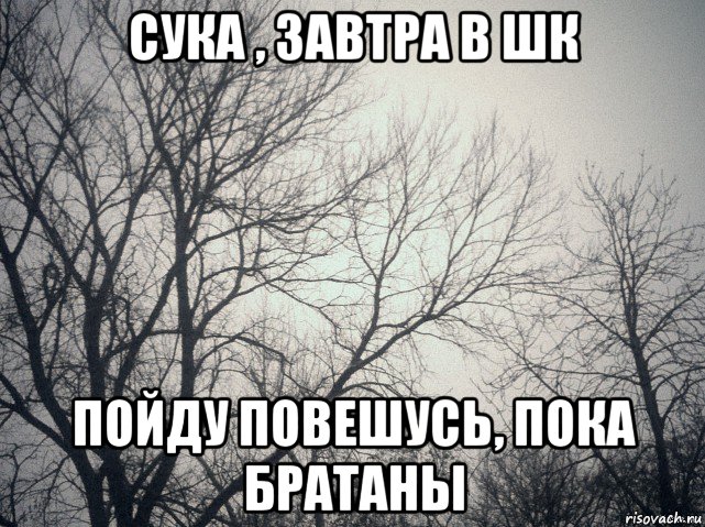 сука , завтра в шк пойду повешусь, пока братаны, Мем  будет весело говорили они