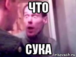 что сука