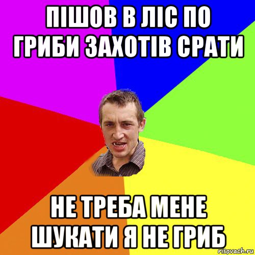 пішов в ліс по гриби захотів срати не треба мене шукати я не гриб, Мем Чоткий паца