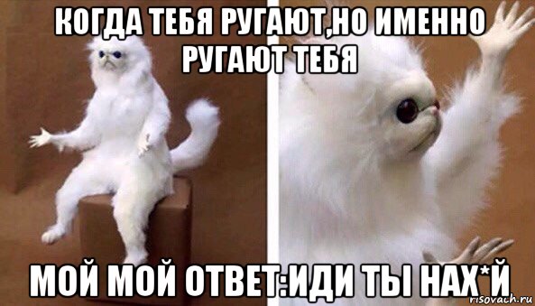 когда тебя ругают,но именно ругают тебя мой мой ответ:иди ты нах*й, Мем Чучело кота