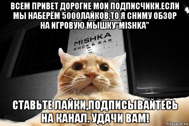 всем привет дорогие мои подписчики.если мы наберём 5000лайков,то я сниму обзор на игровую мышку"mishka" ставьте лайки,подписывайтесь на канал. удачи вам!, Мем   Джонни Кэтсвилл