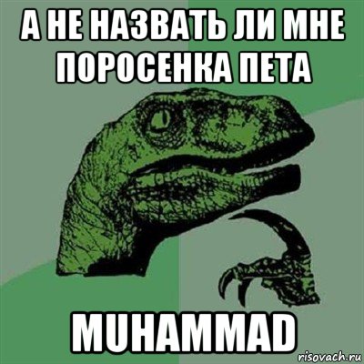 а не назвать ли мне поросенка пета muhammad, Мем Филосораптор