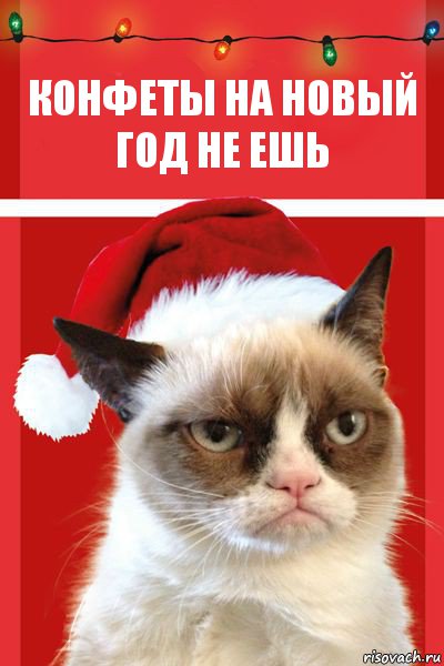 конфеты на новый год не ешь, Комикс  Grumpy cat new year