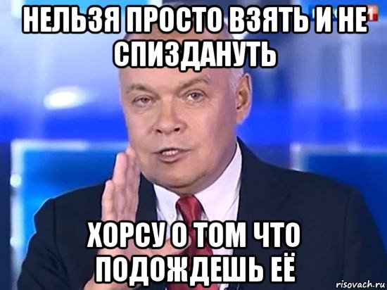 нельзя просто взять и не спиздануть хорсу о том что подождешь её, Мем Киселёв 2014