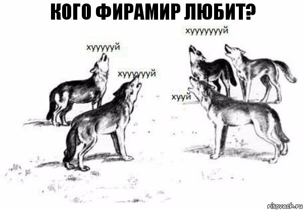 Кого фирамир любит?