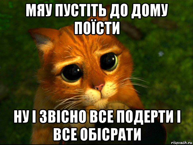 мяу пустіть до дому поїсти ну і звісно все подерти і все обісрати, Мем кот из шрека