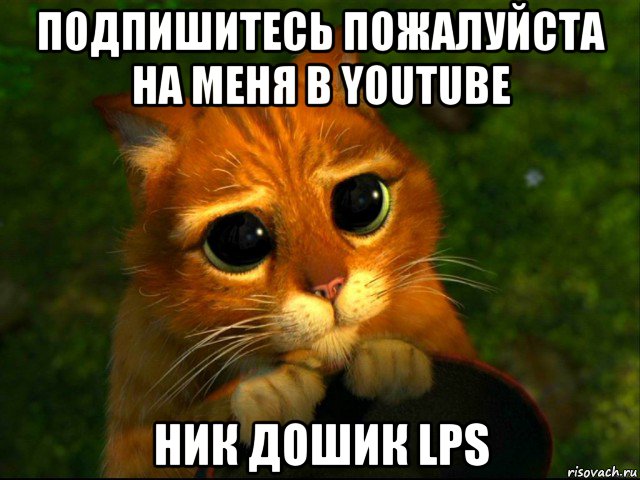 подпишитесь пожалуйста на меня в youtube ник дошик lps, Мем кот из шрека