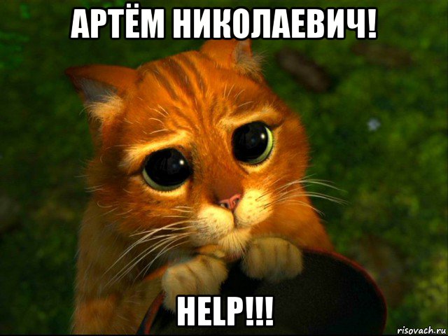 артём николаевич! help!!!, Мем кот из шрека