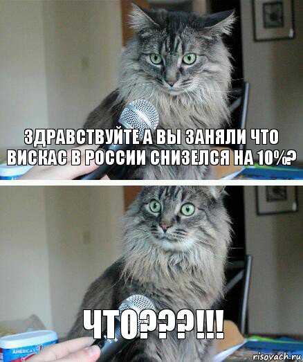 Здравствуйте а вы заняли что вискас в России снизелся на 10%? Что???!!!, Комикс  кот с микрофоном