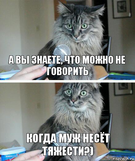 А вы знаете, что можно не говорить Когда муж несёт тяжести?), Комикс  кот с микрофоном