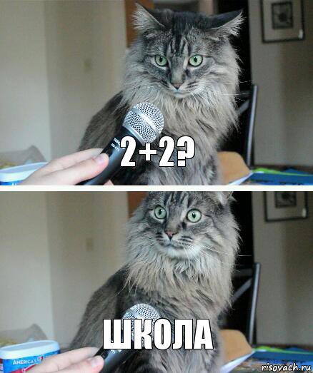 2+2? Школа, Комикс  кот с микрофоном