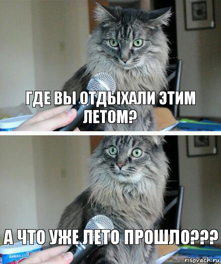 Где вы отдыхали этим летом? А что уже лето прошло???, Комикс  кот с микрофоном