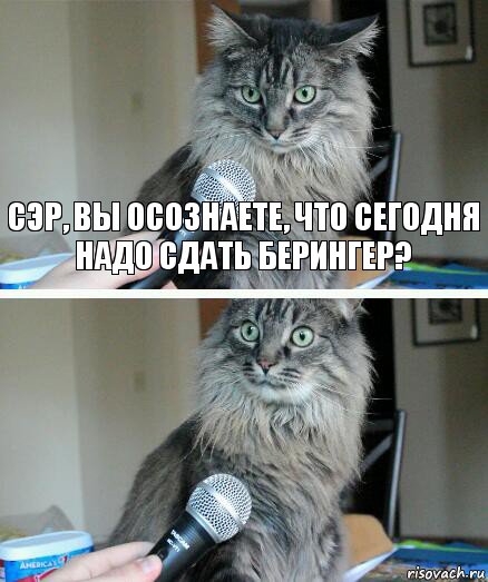 Сэр, вы осознаете, что сегодня надо сдать Берингер? , Комикс  кот с микрофоном