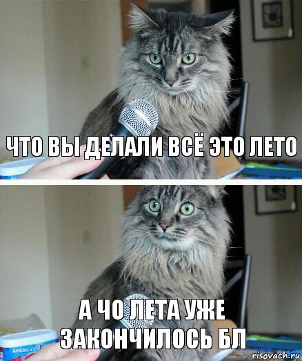 Что вы делали всё это лето А чо лета уже закончилось бл, Комикс  кот с микрофоном