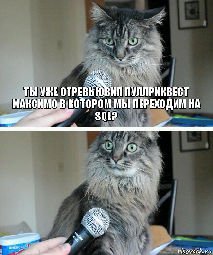 ты уже отревьювил пуллриквест Максимо в котором мы переходим на SQL? , Комикс  кот с микрофоном
